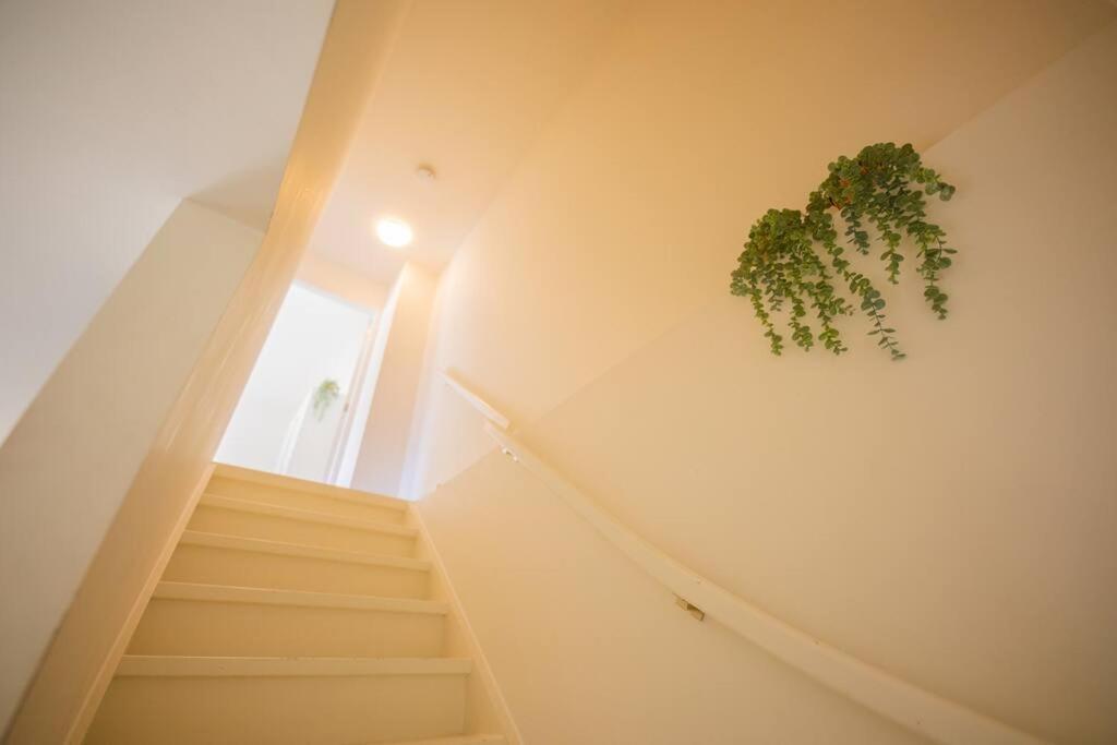 Lovely 3 Bedroom Apartment In Eindhoven 65M2 - Sd23N Eksteriør bilde